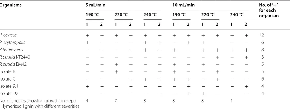 Fig. 1 Growth (OD) of R. opacus, P. fluorescens and P. putida EM42 on 1 g/L (a) depolymerized (at 220 °C with 2‑min residence time) lignin (b) non‑depolymerized lignin as the only carbon source in M9 medium
