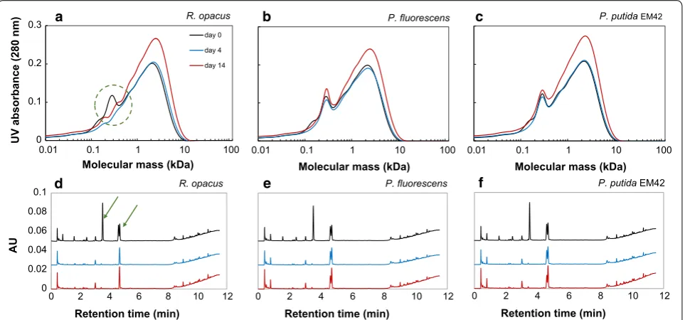 Fig. 2 SEC (fluorescensa–c) and UHPLC (d–f) chromatograms of 1 g/L depolymerization lignin on days 0, 4 and 14 after bacterial conversion by R