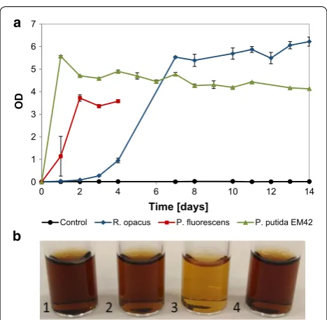 Fig. 3 a Growth (OD) of R. opacus, P. fluorescens and P. putida EM42 on 1 g/L depolymerized (at 220 °C with 2‑min residence time) lignin supplemented with 5 g/L glucose in M9 medium