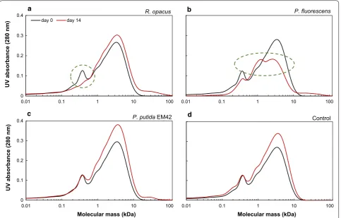 Fig. 4 SEC chromatograms of 1 g/L depolymerized lignin on days 0 and 14 after high‑cell density bacterial conversion by a R