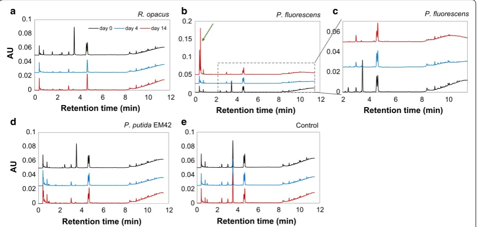 Fig. 6 Measured growth (OD) and substrate concentrations for cultures of R. opacus grown on guaiacol as the only source of carbon in M9 medium