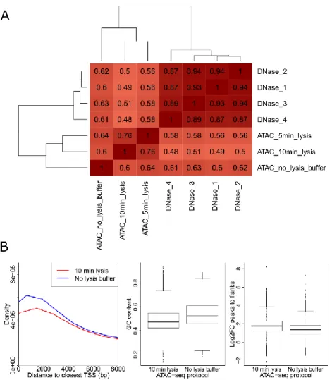Figure 12: Characterization of ATAC-seq datasets generated with different protocols in K562 cells