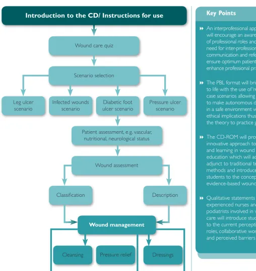 Figure 1. Format of the CD-ROM.