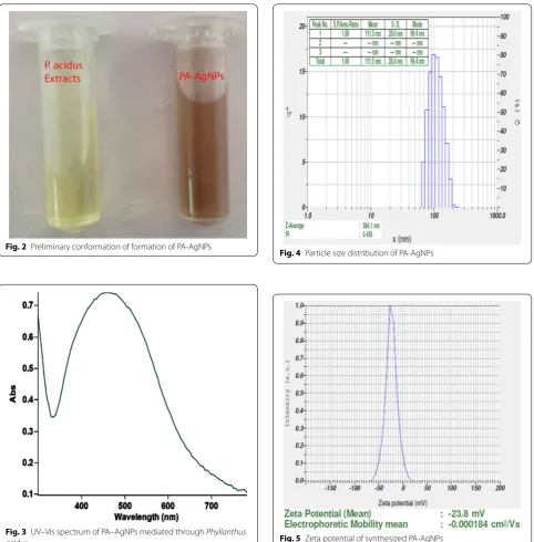 Fig. 3 UV–Vis spectrum of PA–AgNPs mediated through Phyllanthus acidus