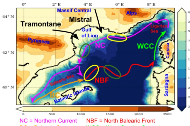 Figure 1. Schematic representation of the surface oceanic circulation in the northwestern Mediterranean Sea