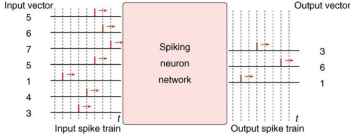 Figure 1.11: Illustration of the temporal coding principle [37].