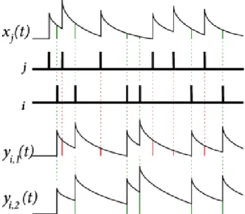 Figure 1.14: The triplet STDP rule with local variables [16].
