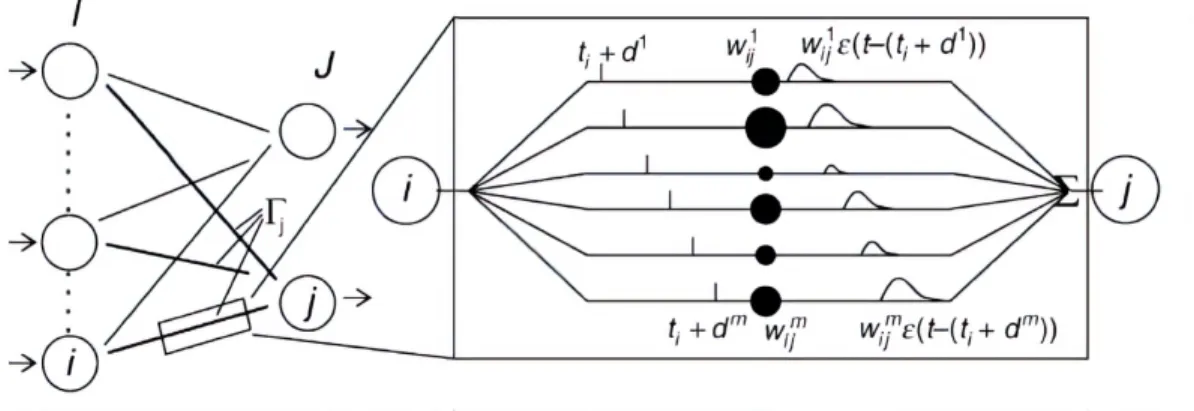 Figure 2.1: Unsupervised learning rule in SNN proposed in [35].