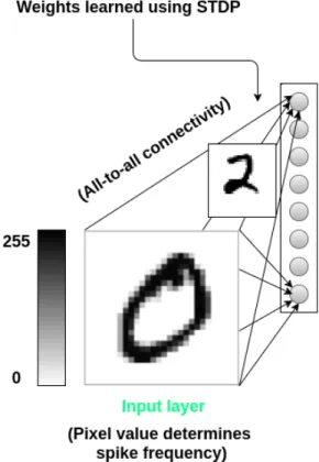 Figure 3.1: Proposed SNN architecture for image classification.