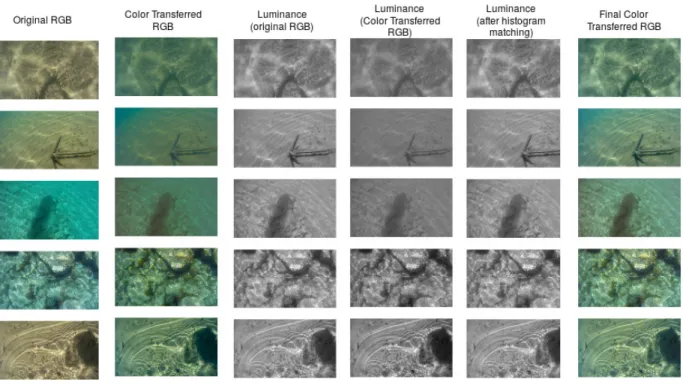 Figure 17: Color transfer [64] and histogram matching [65] of the luminance channel are applied to the real images in order to make the real images fall within the manifold learned from the training images and remove possible bias to colors