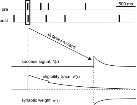 Figure 3.3: Scheme of reward-modulated STDP, as defined by Eqs. (3.5), (3.6) and (3.7)