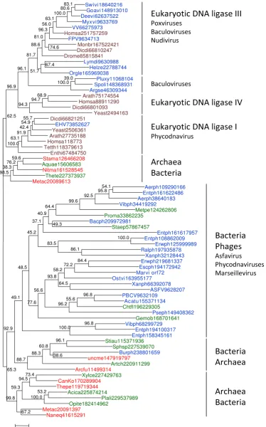 Figure 2 (see legend on next page)