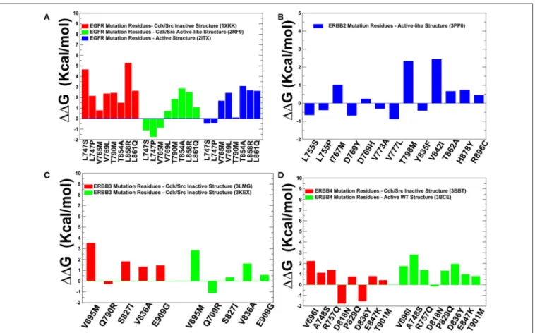 FIGURE 9 | Protein stability analysis of the predicted cancer driver mutations. Protein stability differences calculated between the wild-type and mutants for predicted cancer driver mutations in the ErbB kinases using FOLDx approach