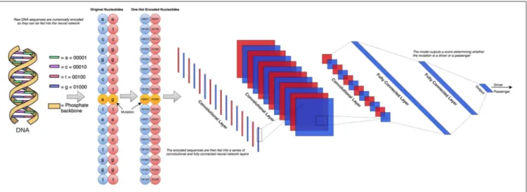 FIGURE 1 | The schematic workflow diagram of the CNN approach employed in this study. To determine the optimal architecture, we performed a grid search over a total of 72 different neural network architectures