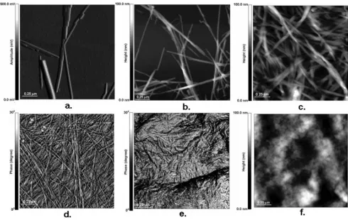 Figure 1Atomic force microscopy images of cellulose and plant cell wall microfibrilsAtomic force microscopy images of cellulose and plant cell wall microfibrils