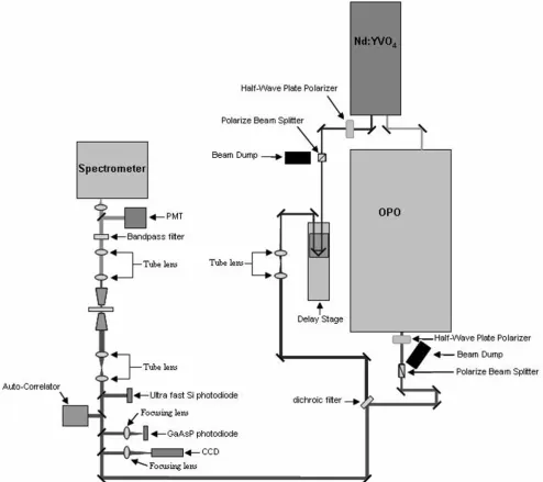 Figure 3plant cell wallSchematic diagram showing the details of the CARS setup that was used to chemically characterize the components of the Schematic diagram showing the details of the CARS setup that was used to chemically characterize the com-ponents of the plant cell wall.