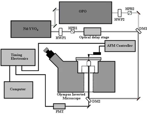 Figure 4Schematic showing the basic coupling of the existing CARS setup with a Veeco BioScope II AFM mounted to an Olympus an Olympus Inverted microscopeInverted microscopeSchematic showing the basic coupling of the existing CARS setup with a Veeco BioScope II AFM mounted to .