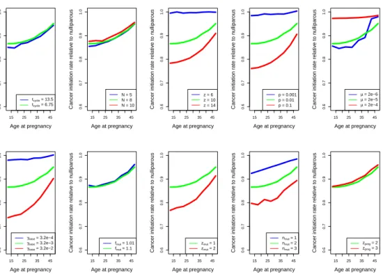 Figure 2.6: Relative probability of cancer initiation per duct as compared to nulliparous simulations