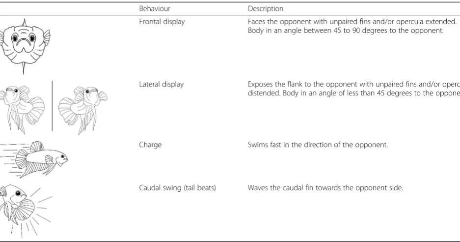 Table 1 Description of the aggressive behaviours quantified. An aggression score was calculated as the average frequency of thesedisplays