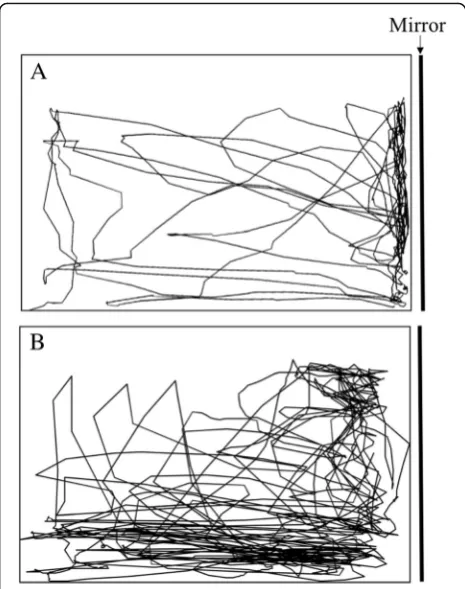 Fig. 3 Representative 2D side-view tracks of a wild-type (a) andfighter (b) male during mirror trials