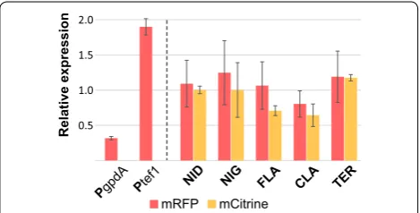 Fig. 4 Relative expression from Ph4h3 during solid state cultivation. Relative expression by RT-qPCR on mRFP (red) and mCitrine (orange) of each of the five Ph3h4s (NID, NIG, FLA, CLA, TER), and the references promoters, PgpdA and Ptef1, see text for details