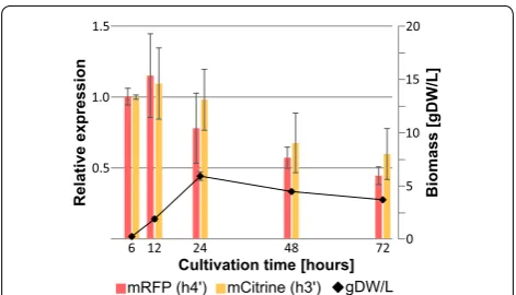 Fig. 5 Relative expression from Ph4h3 during submerged cultivation. The relative expression level (left y-axis) from A