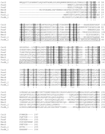 Figure 3E. coli similarity of 200 Pam units or less over at least 50% of their length