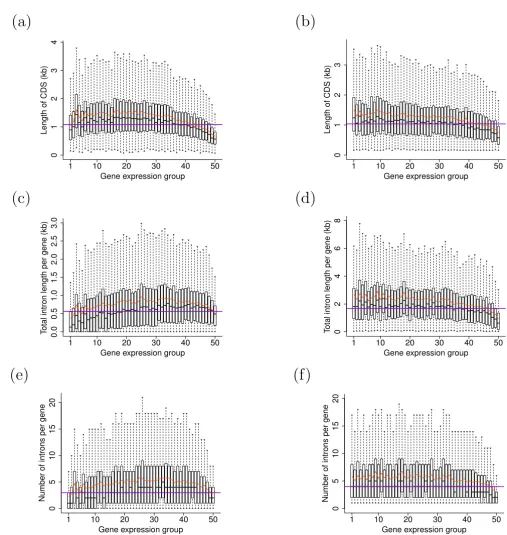 Figure 1Arabidopsis Presented parameters are: CDS length in (a) number of introns per gene in (e) groups are statistically significant (all Kruskal-Wallis rank sum test the most extreme points within 1.5 × interquartile range from the boxes