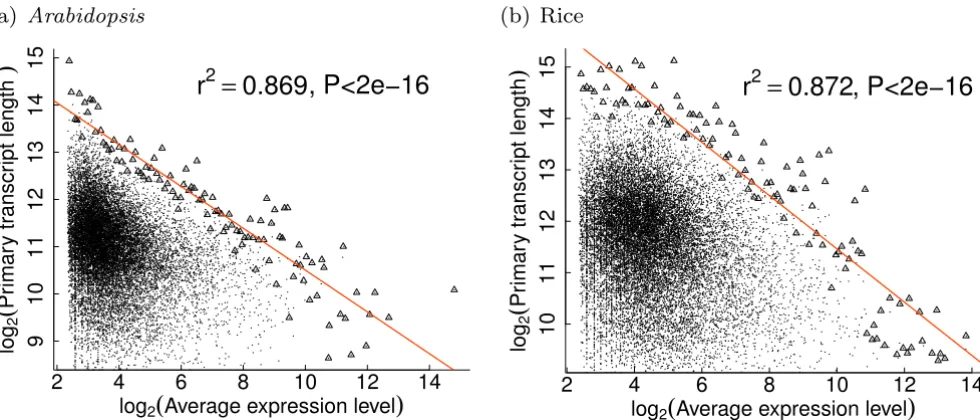 Figure 2Extreme values of transcript lengths for plant genes scale as power-laws of expression levelspoint represents one gene in the whole dataset, whereas triangles denote the data subset used to fit the linear line