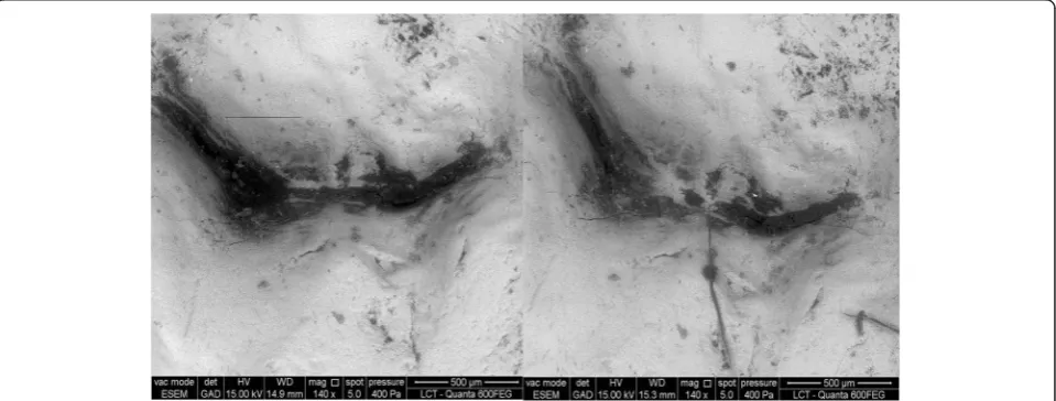 Fig. 3 Images before and after probing. Defects can be observed in the initial and final images