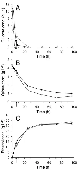Figure 1Measured concentrations in batch SSF at 7% WISMeasured concentrations in batch SSF at 7% WIS