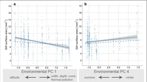 Fig. 5 Visualization of significant model terms in generalized least squares models on gill surface areas