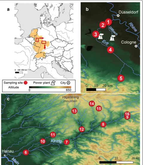 Fig. 1 Map of our study areas.thermal pollution in the form of cooling water from several coal power plants and a Location of the Rhine catchment in Central Europe with the two studied tributaries: b Erft, which receives c Kinzig, which does not receive ar