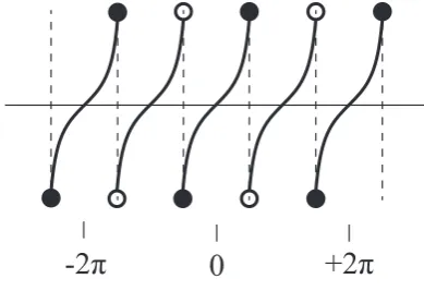 Fig. 2.Graph of the Transreal Tangent