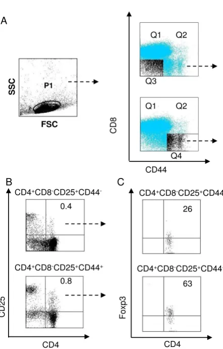 Figure 2mouse thymusTCR-β expression on CD4+ CD8- CD25+ CD44+ T reg cells in TCR-β expression on CD4+ CD8- CD25+ CD44+ T reg cells in mouse thymus