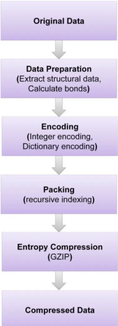 Figure  2:  Converting  normal  data  into  MMTF  format.  Flowchart  demonstrating  the  conversion  methodology used to convert large data into MMTF format to store and parse it in an easier way (Adapted from  https://mmtf.rcsb.org)