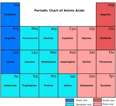 Figure 1: 20 Basic Proteinogenic Types of Amino Acids [10]