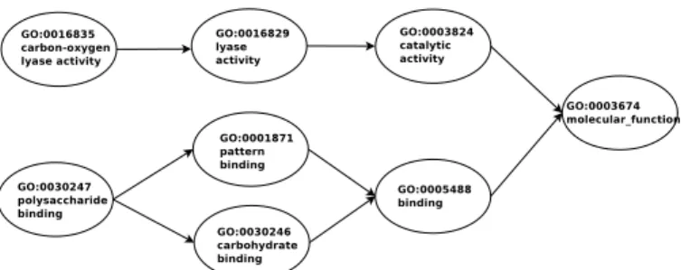 Figure 5: “is-a” Relationship in GO Terms [16]