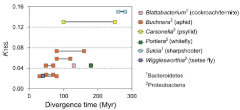 Figure 1 presents the extent of 16S rRNA sequence diver-gence (K16S) relative to the fossil-derived divergence timesfor six lineages of obligate bacterial endosymbionts infect-ing three orders of insects