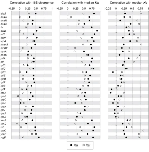 Figure 3Patterns of sequence evolution in universally conserved genesPatterns of sequence evolution in universally conserved genes