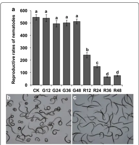 Fig. 7 Expression of the Rs‑cps mRNA in Radopholus similis treated with Rs‑cps dsRNA for different times