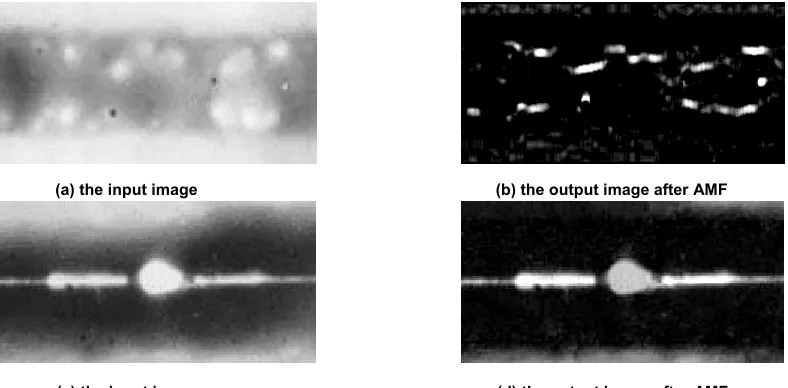 Fig 8: Some examples after implemented the proposed approach. 