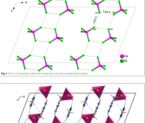 Fig. 3 The Cl⋯Cl interactions within the mineral layers, showing its supramolecular aspect