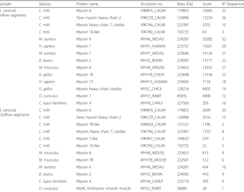Table 2 Results from peptide sequence quantification by ESI-Quadrupole-Orbitrap of the inflow and outflow segments of S