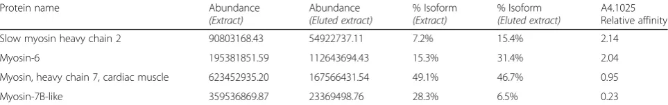 Table 3 Abundance and relative proportion of sarcomeric isomyosins of the outflow segments before and after A4.1025immunoprecipitation and A4.1025 relative affinity of the four isoforms