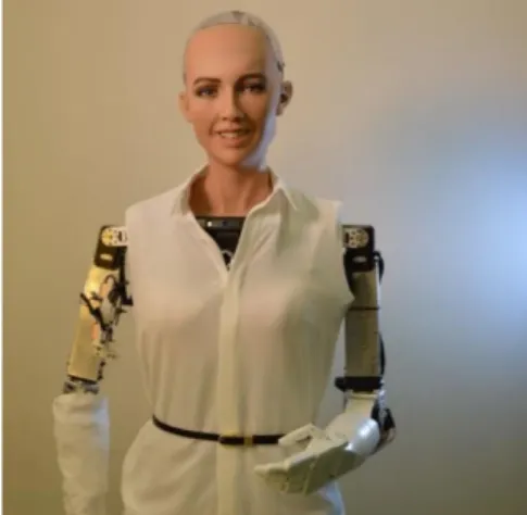 FIGURE 2.  The Sophia Robot (Kom 2018). 