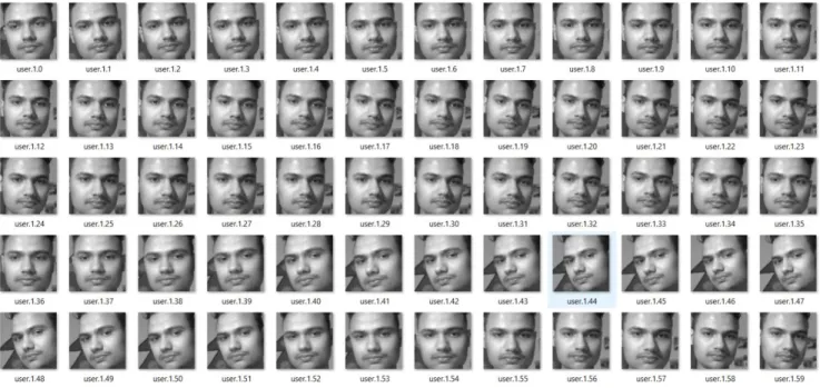 FIGURE 12. Image dataset 