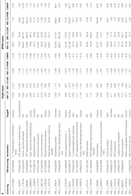 Table 2 (continued)