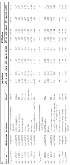 Table 2 (continued)