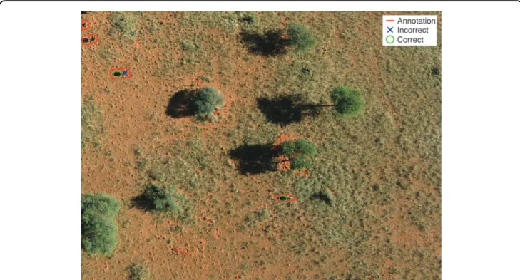 FIG. 8. Detecting a few individual animals with high precision can be sufﬁcient to draw attention to a speciﬁc area (SAVMAP image).